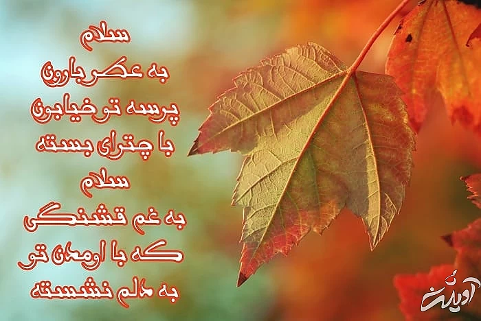 عکس و متن زیبای پاییزی متن احساسی پاییز